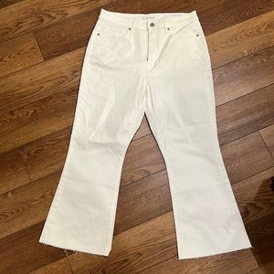 Loft high waist kick crop pants size 31/12 NWT